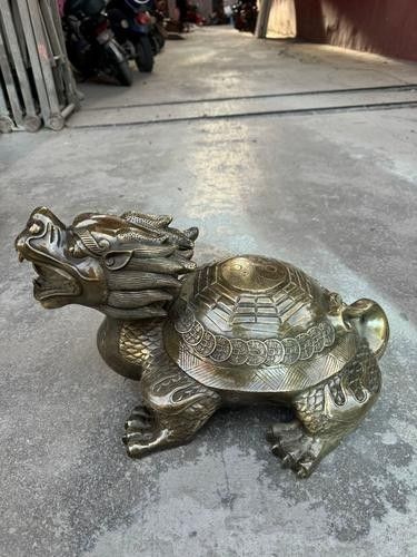 如何判斷龍龜圖片是否可商用（龍龜圖片的商用判斷）