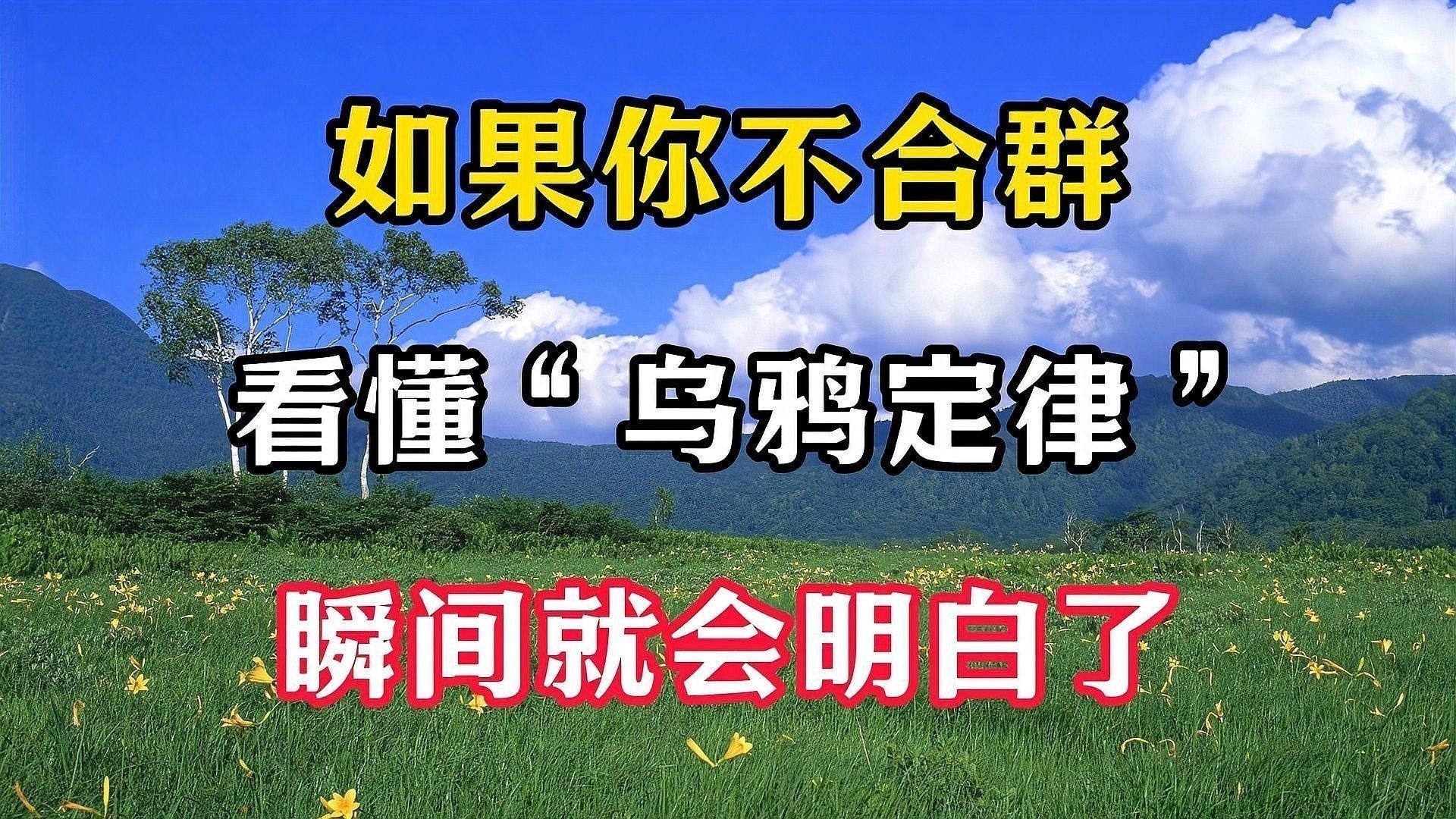 群主一般多久在線？（如果有一天，你越來越不合群，看懂“烏鴉定律”）
