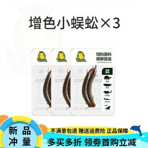 哪種發色餌料對金頭金龍和古典金龍最有效（頭金龍和古典金龍的發色餌料選擇有著不同的偏好）