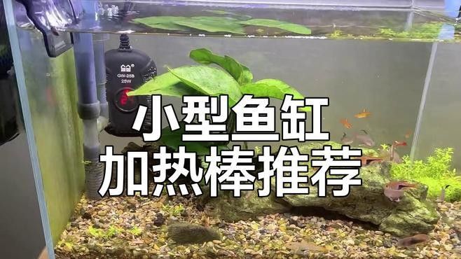 森森和創(chuàng)寧加熱棒哪個更好？（森和創(chuàng)寧加熱棒品牌排行榜森森和創(chuàng)寧哪個更耐用）
