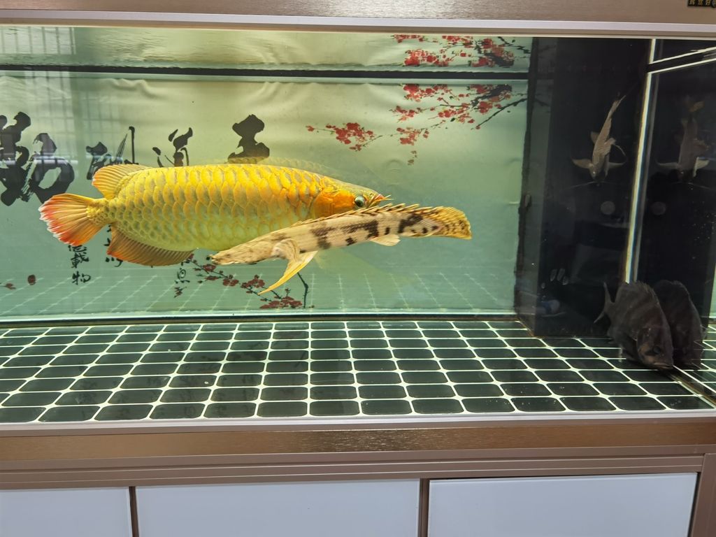（全球變暖與海平面上升對(duì)沿海城市的影響）