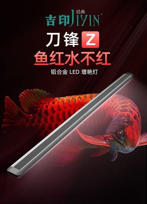 給我推薦幾款適合紅龍養(yǎng)殖的LED燈（紅龍專用led燈具推薦）