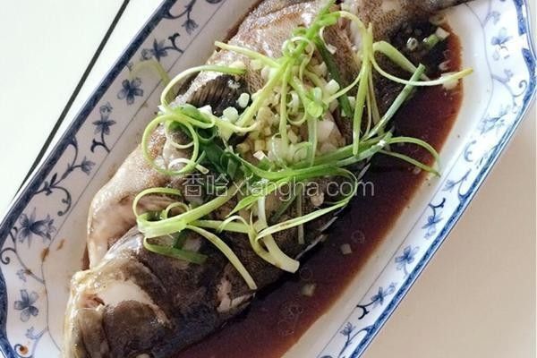 龍躉魚清蒸有哪些做法（清蒸龍躉魚的做法）