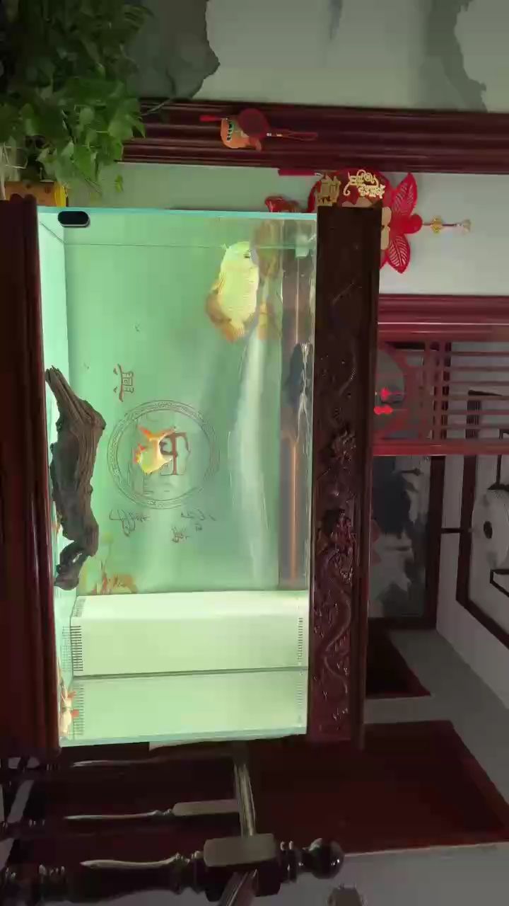 看會（會話式學習在教育領域的應用）