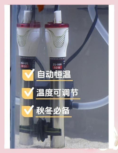 雙加熱棒如何設置？（加熱棒的正確使用方法）