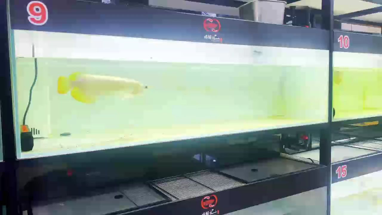 分享一條狀態起飛的。 6888（“狀態起飛”是什么意思）