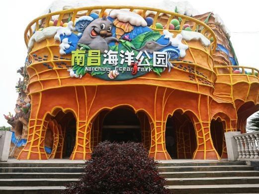 南昌哪個(gè)水族館龍魚好？祥龍魚場龍魚（南昌海洋公園祥龍魚場·進(jìn)口元寶鳳凰魚飼養(yǎng)全指南）