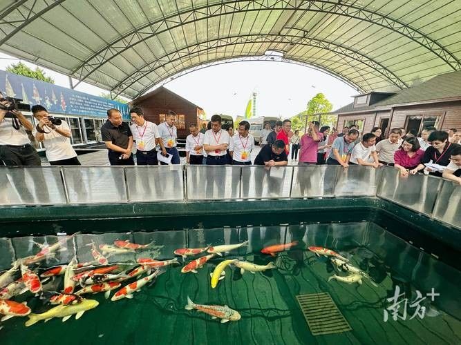 南海花博園內有哪些知名的龍魚養殖場（南海花博園內知名的龍魚養殖場）