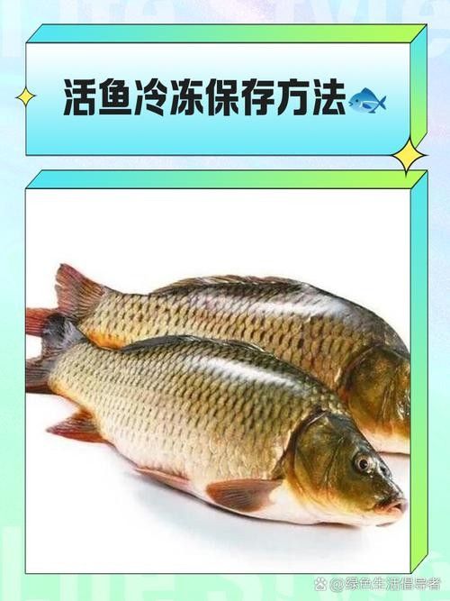 金龍魚流拍后如何處理（金龍魚流拍后怎么處理）