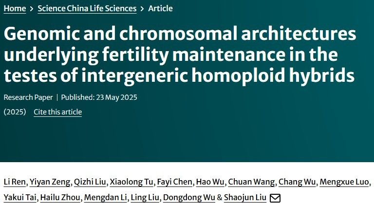 龍魚畸形遺傳能否完全避免？（如何避免龍魚畸形的發(fā)生）