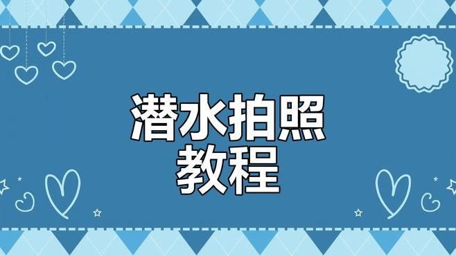 如何選擇適合拍攝龍魚的三腳架（數智奇跡，相機三腳架怎么選推薦）