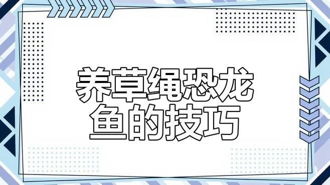 草繩恐龍魚有哪些特點（草繩恐龍魚是什么？）