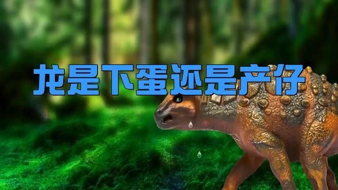 哪些恐龍是卵生，哪些是胎生（卵生恐龍和胎生恐龍的生殖方式特殊案例分析恐龍是卵生還是胎生）