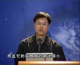 哪些恐龍是卵生，哪些是胎生（卵生恐龍和胎生恐龍的生殖方式特殊案例分析恐龍是卵生還是胎生）