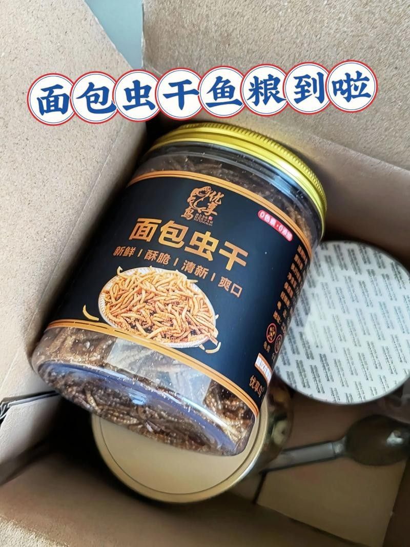 火龍魚除了面包蟲還能吃什么（中國小火龍魚吃什么食物光影動創(chuàng)工坊火龍魚吃什么環(huán)球眼）