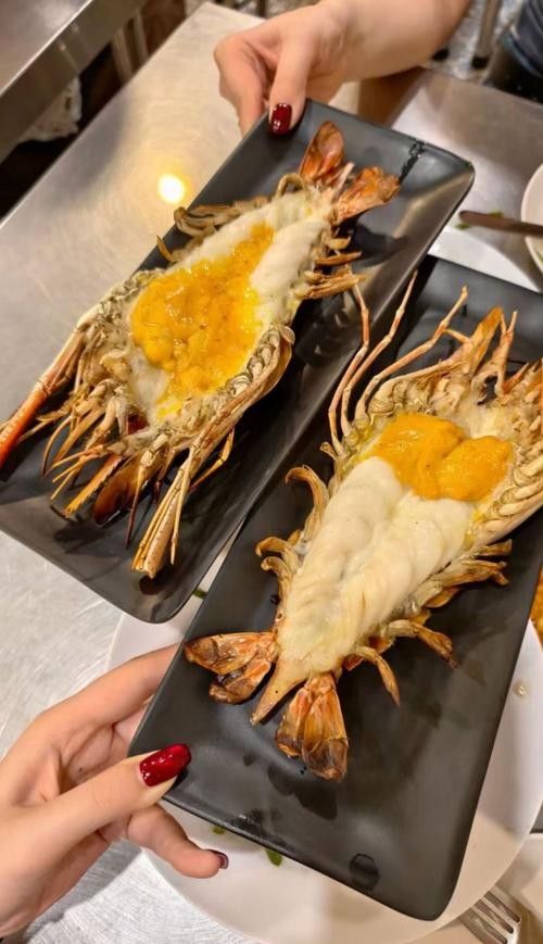 火龍魚除了面包蟲還能吃什么（中國小火龍魚吃什么食物光影動創(chuàng)工坊火龍魚吃什么環(huán)球眼）
