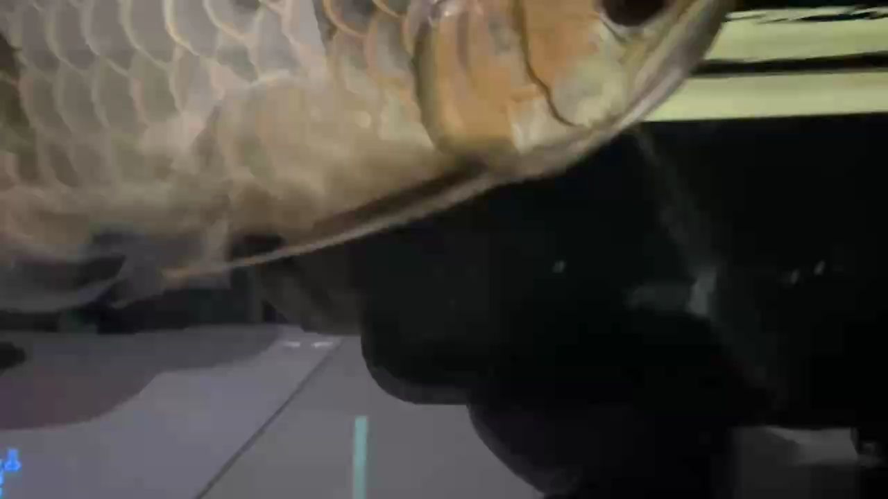 無燈光記錄（無燈光記錄情況下）