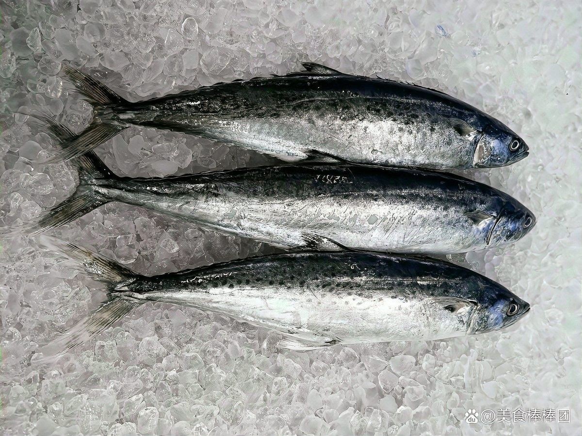 來(lái)龍魚(yú)可以冷凍保存嗎（龍魚(yú)冷凍保存方法）