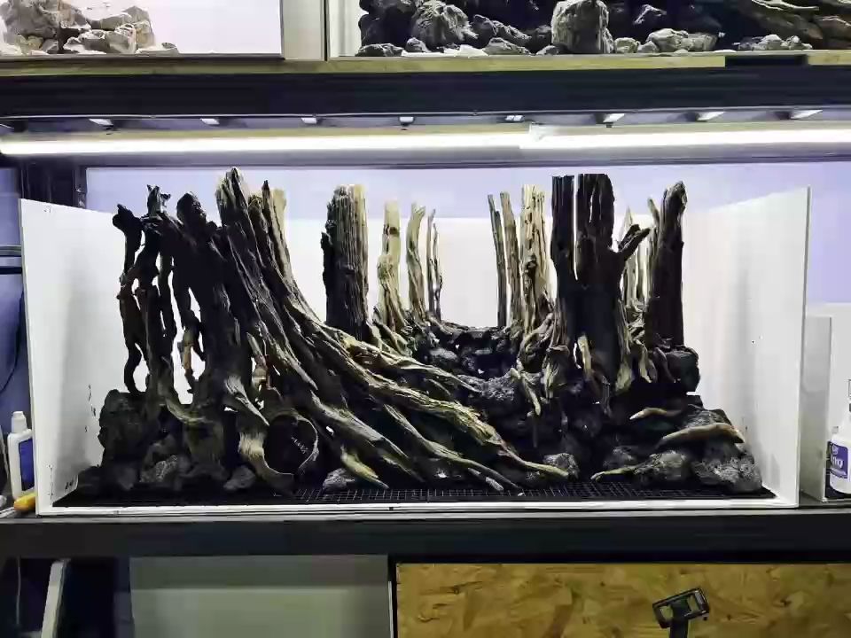 開缸過程（新買的魚缸或者水族箱如何清洗？）