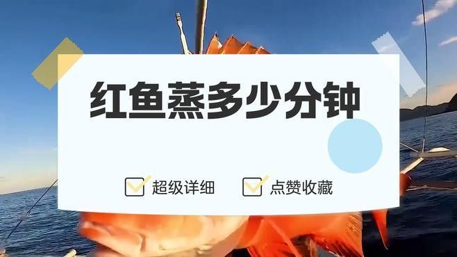 紅龍魚的最佳烹飪時間（深海紅龍魚怎么做好吃）