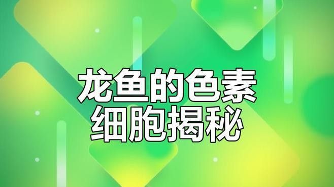 紅尾金龍魚多久變色（紅尾金龍魚的變色過程）