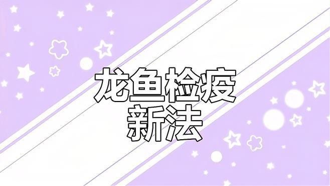 龍魚檢疫需要哪些設備和工具（如何進行龍魚檢疫）