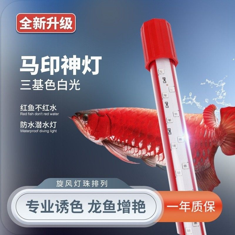 紅龍魚燈具需要多大功率（紅龍魚燈具功率大小取決于多種因素選擇紅龍魚燈具）