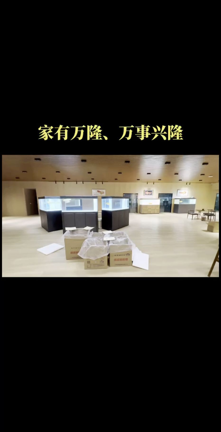 感謝全國魚友朋友們的支持
本批次新貨今日首發[嘿哈][嘿哈][嘿哈]
家有萬隆、萬事興隆[跳跳][煙花][紅包]
祝魚友們～養好魚行好運，發發發??
#萬隆天王紅龍 #紅龍 #龍魚 #觀賞魚（萬隆天王紅龍）
