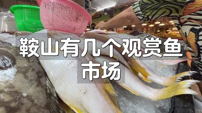 58同城上如何找到鞍山龍魚的信息（58同城上找到鞍山龍魚的信息需要注意保護個人信息）