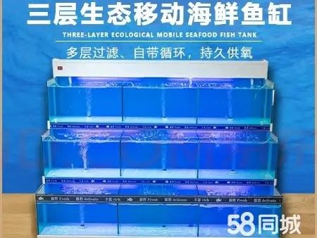 58同城上如何找到鞍山龍魚的信息（58同城上找到鞍山龍魚的信息需要注意保護個人信息）