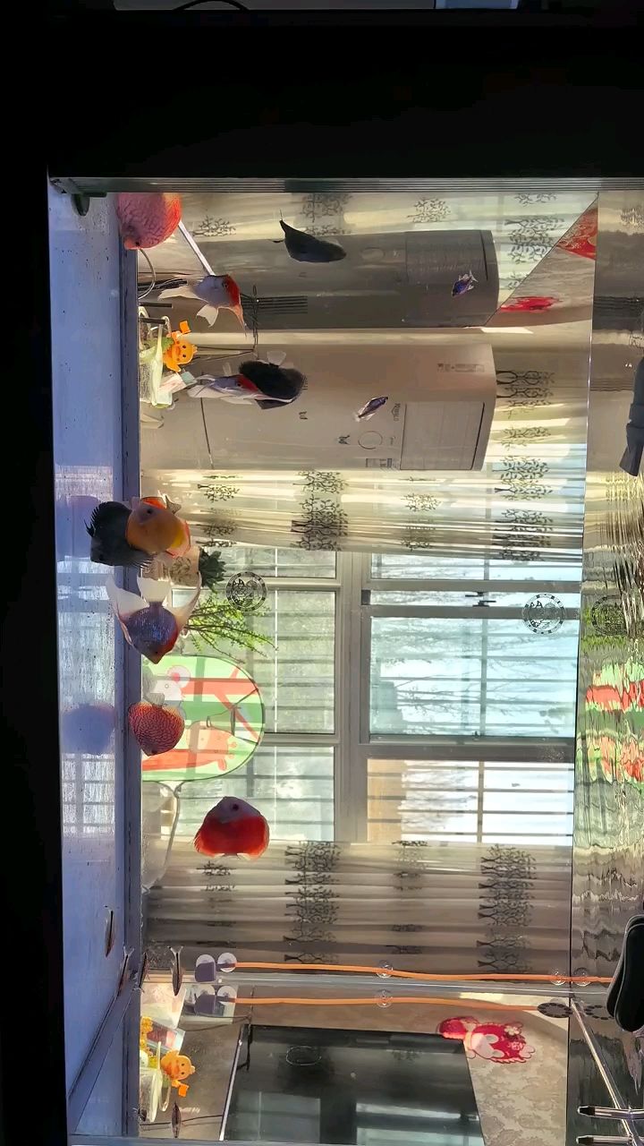 不追求完美的品相了，便宜點就當個樂子了。（追求性價比樂在其中）