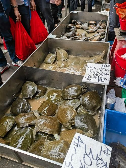 有哪些信譽漁場可以推薦？（信譽漁場推薦指南）