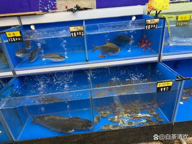 有哪些信譽漁場可以推薦？（信譽漁場推薦指南）