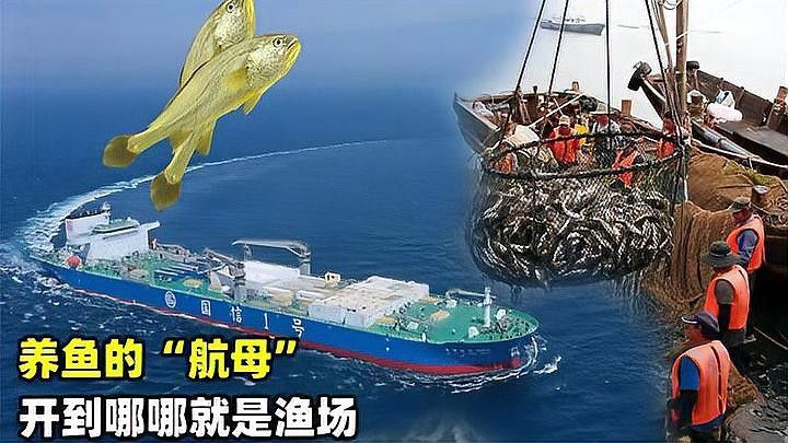 有哪些信譽漁場可以推薦？（信譽漁場推薦指南）
