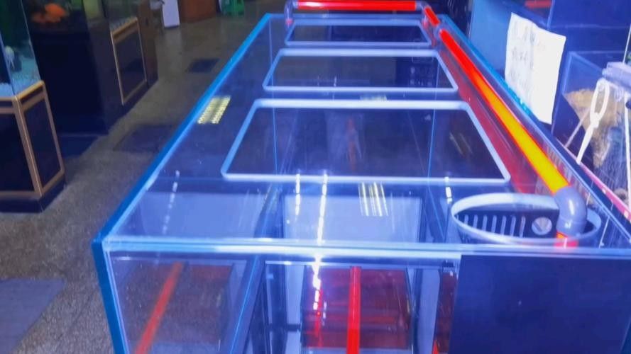 龍魚缸拉筋材質有哪些選擇（魚缸拉筋材質的選擇對于確保水質的純凈和魚缸的整體美觀至關重要）