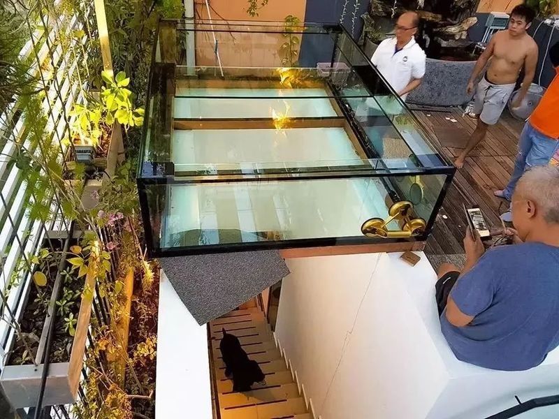 龍魚缸拉筋材質有哪些選擇（魚缸拉筋材質的選擇對于確保水質的純凈和魚缸的整體美觀至關重要）