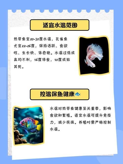 如何保持紅龍魚生長水溫穩定（紅龍魚水溫調節技巧）