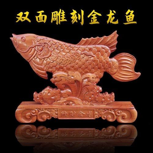 金龍魚美容后如何護理（金龍魚美容后護理是確保其健康和美麗的關鍵步驟以下是一些建議）