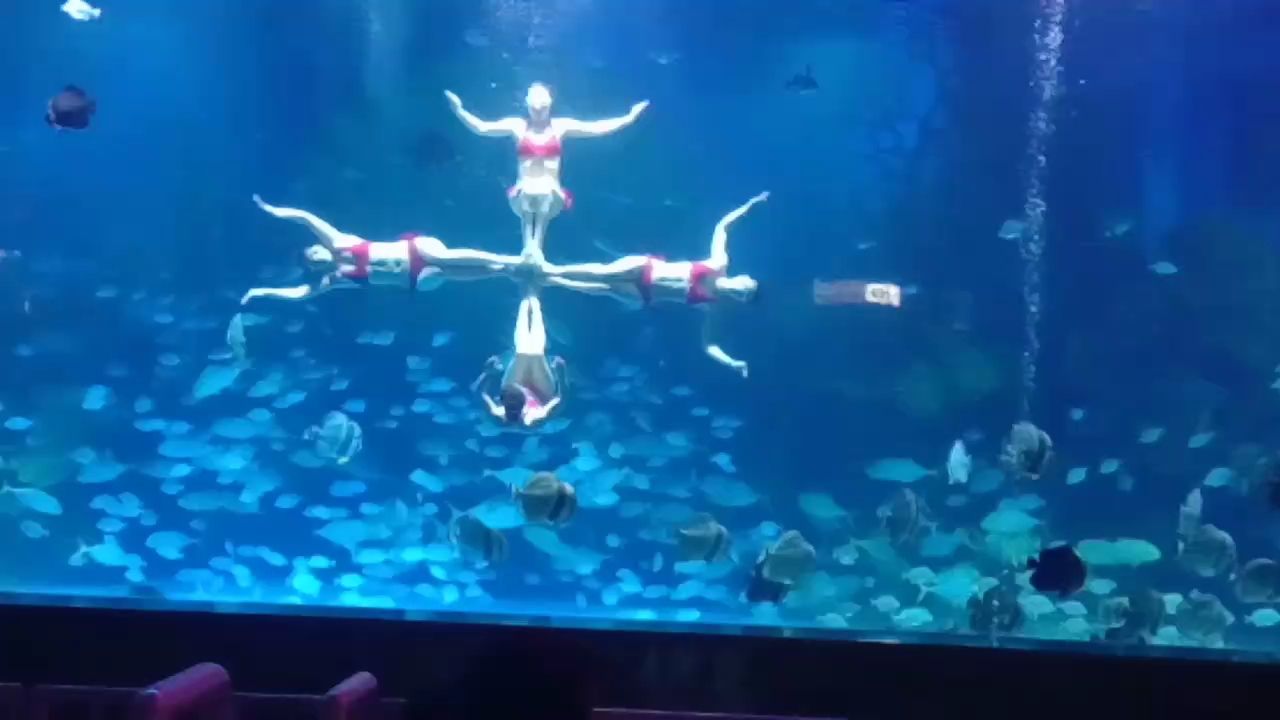 隨拍（隨拍作品欣賞）