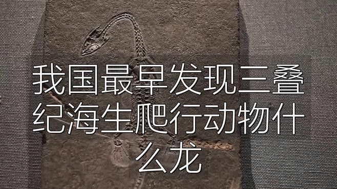 如何判斷貴州龍魚化石的年代？（貴州龍魚化石的年代鑒定）