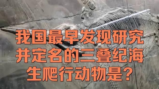 如何判斷貴州龍魚化石的年代？（貴州龍魚化石的年代鑒定）