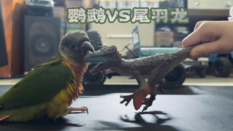 如何減少恐龍魚對孔雀魚的攻擊（如何減少恐龍魚對孔雀魚的攻擊呢？）