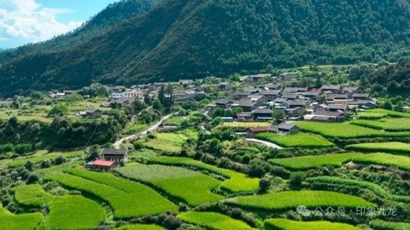 甘孜藏族自治州龍魚養(yǎng)殖基地的具體地址在哪里（甘孜藏族自治州有龍魚養(yǎng)殖基地嗎？）