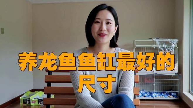 高背金龍魚需要多大的魚缸？（飼養(yǎng)高背金龍魚需要多大的魚缸尺寸）
