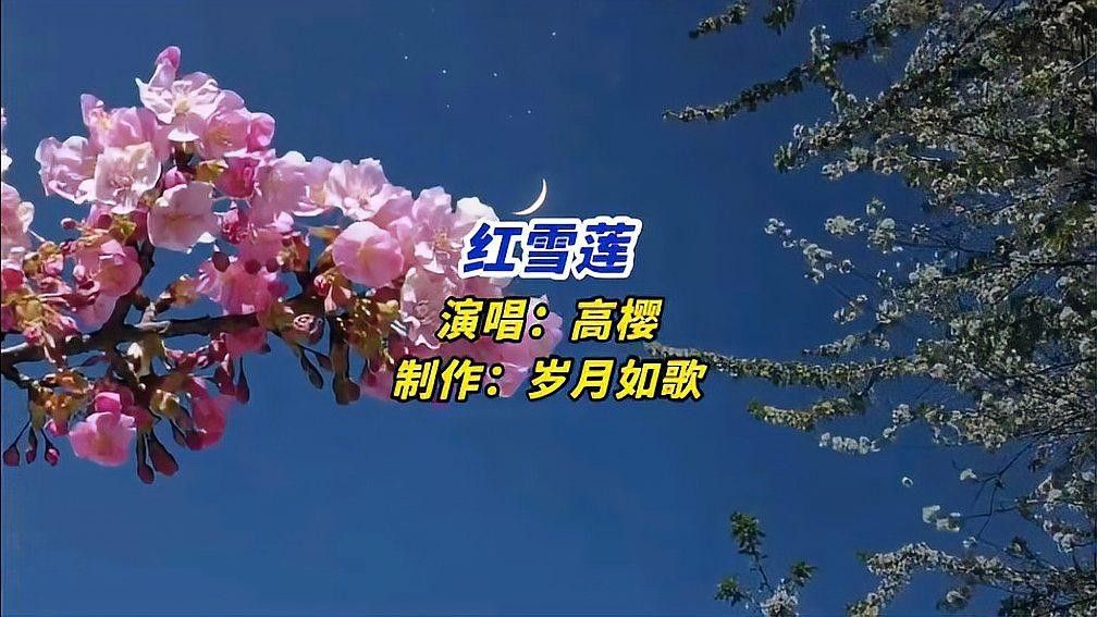 紅雪蓮品系有哪些特點（紅雪蓮在多肉植物中通過雜交衍生出多個特色品種品種）
