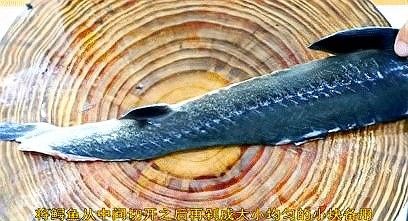 如何在家制作紅燒鱘龍魚？（紅燒鱘魚怎么做才好吃）