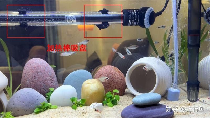 加熱棒安裝后多久開始工作（加熱棒安裝后多久開始工作，魚缸加熱棒使用方法和注意事項有哪些）