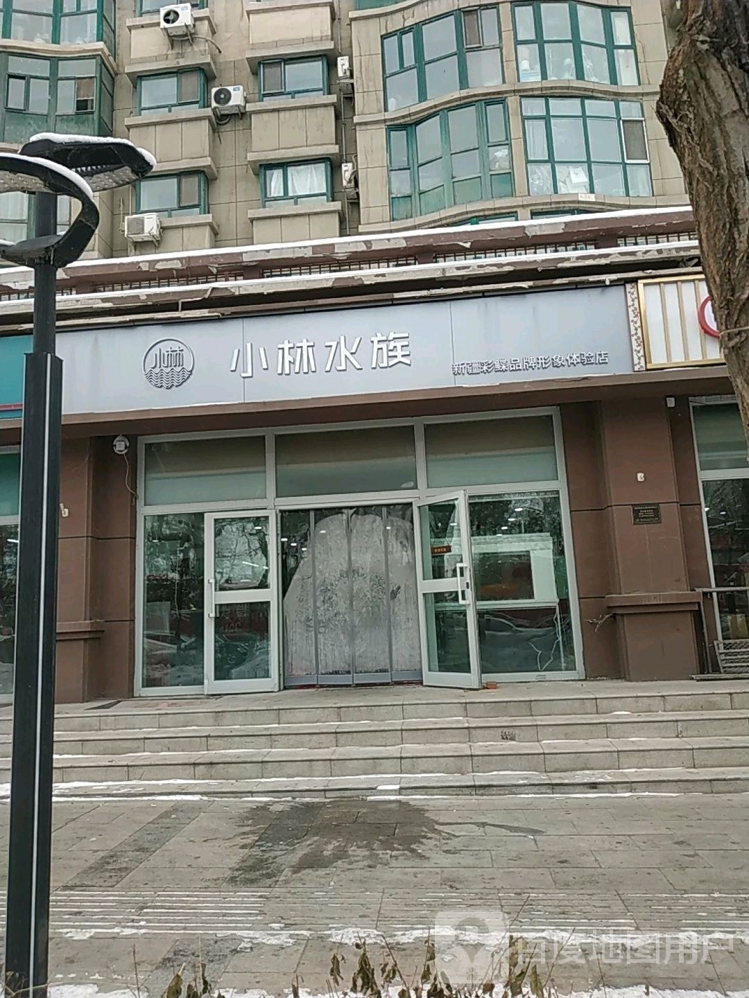 烏魯木齊哪個水族館龍魚好？祥龍魚場龍魚（烏魯木齊市祥龍魚場）