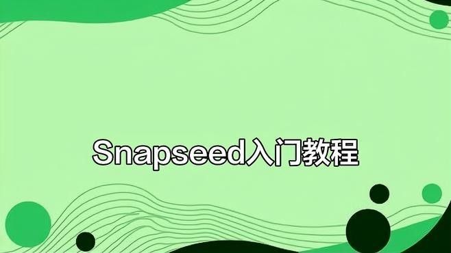 如何鑒別紅龍魚證書的真偽，如何鑒別紅龍魚證書真偽