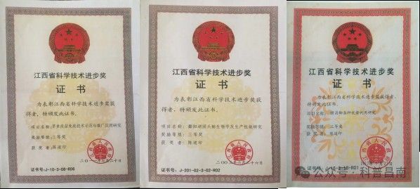南昌縣哪個水族館龍魚好？祥龍魚場龍魚（南昌縣祥龍魚場是一個值得一游的水族館和龍魚養殖場）